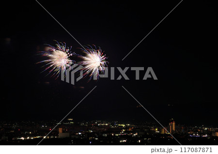 夏の夜空に咲く華麗な花火 <蒲郡納涼花火大会> 夏の夜空に咲く華麗な花火 <蒲郡納涼花火大会> 117087871