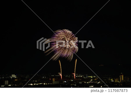 夏の夜空に咲く華麗な花火 <蒲郡納涼花火大会> 夏の夜空に咲く華麗な花火 <蒲郡納涼花火大会> 117087873