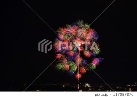夏の夜空に咲く華麗な花火  <蒲郡納涼花火大会> 117087876