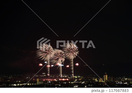 夏の夜空に咲く華麗な花火 <蒲郡納涼花火大会> 夏の夜空に咲く華麗な花火 <蒲郡納涼花火大会> 117087883