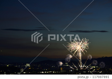夏の夜空に咲く華麗な花火 <蒲郡納涼花火大会> 夏の夜空に咲く華麗な花火 <蒲郡納涼花火大会> 117087891