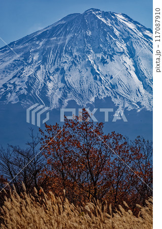 晩秋の三湖台から見る富士山 117087910