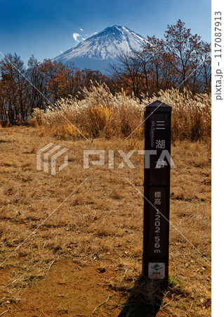 晩秋の三湖台から見る富士山 晩秋の三湖台から見る富士山 117087913