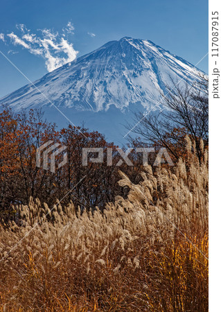 晩秋の三湖台から見る富士山 117087915