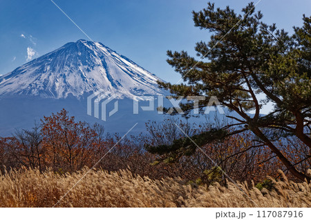 晩秋の三湖台から見る富士山 晩秋の三湖台から見る富士山 117087916