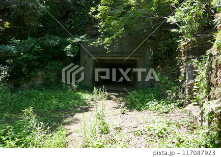 大房岬要塞跡　　（千葉県南房総市） 117087923