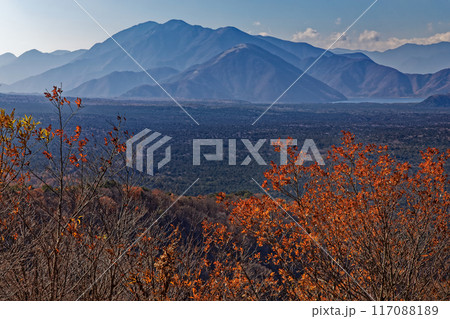 三湖台から見る青木ヶ原樹海と本栖湖・毛無山 117088189