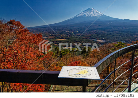 紅葉台から見る富士山と紅葉 117088192