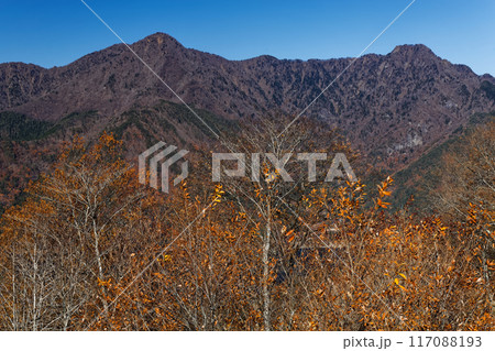 紅葉台から見る晩秋の雪頭ヶ岳・十二ヶ岳稜線 紅葉台から見る晩秋の雪頭ヶ岳・十二ヶ岳稜線 117088193