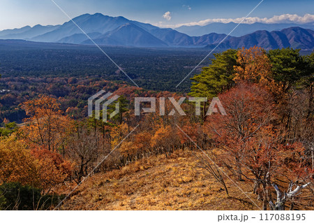 紅葉台から見る青木ヶ原樹海と本栖湖・毛無山稜線 117088195