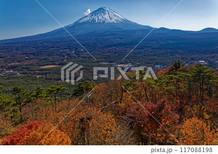 紅葉台から見る富士山と紅葉 117088198
