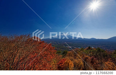 晩秋の紅葉台のから見る富士山 晩秋の紅葉台のから見る富士山 117088200