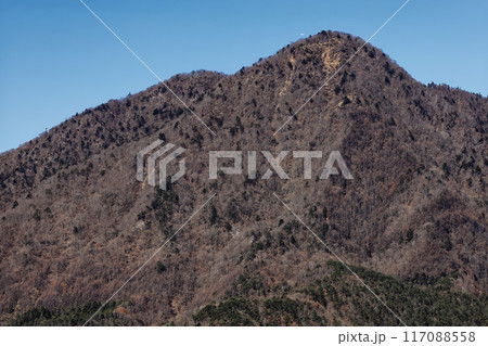 紅葉台から見る晩秋の御坂山地・雪頭ヶ岳 117088558