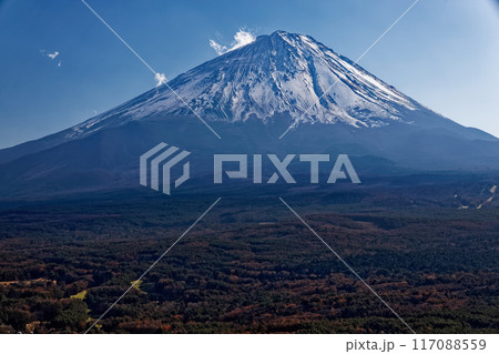 晩秋の紅葉台から見る富士山 117088559