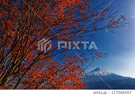 紅葉台から見る富士山と紅葉 紅葉台から見る富士山と紅葉 117088567