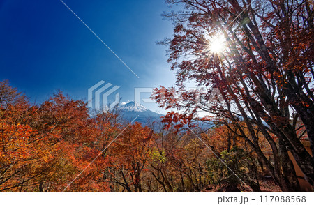 紅葉台のモミジと富士山 紅葉台のモミジと富士山 117088568