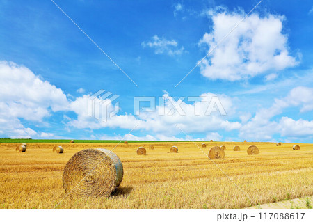 北海道　夏の青空と牧草ロールの大地 117088617