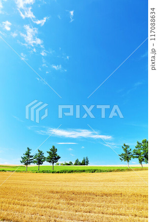 北海道　夏の青空と美瑛の風景（マイルドセブンの丘） 117088634