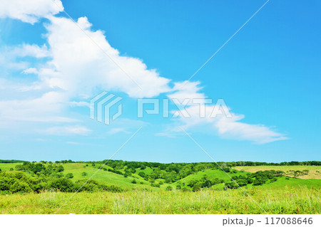 北海道　夏の青空と新緑の高原風景 117088646