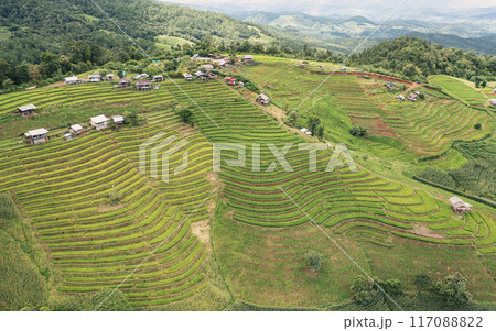 Aerial views of Small house and rice terraces field at pabongpaing village rice terraces Mae-Jam Chiang mai, Thailand. The view point for travel. Rice Field Terrace 117088822
