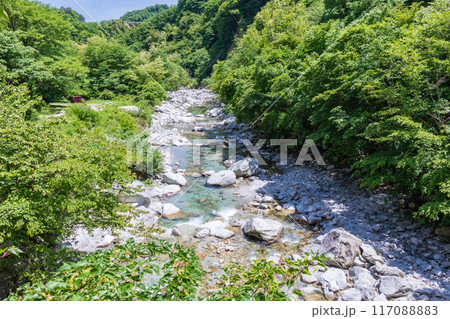 「山梨県」新緑の映える尾白川渓谷 北杜市 「山梨県」新緑の映える尾白川渓谷 北杜市 117088883