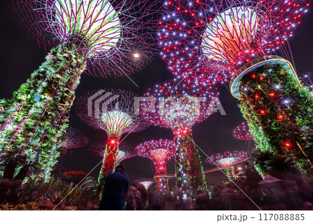 SINGAPORE, SINGAPORE - AUGUST 25, 2023 SINGAPORE, SINGAPORE - AUGUST 25, 2023 117088885