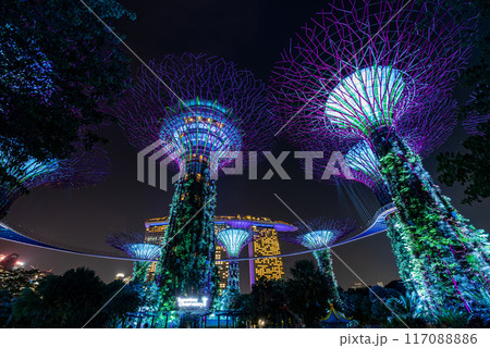 SINGAPORE, SINGAPORE - AUGUST 25, 2023 SINGAPORE, SINGAPORE - AUGUST 25, 2023 117088886