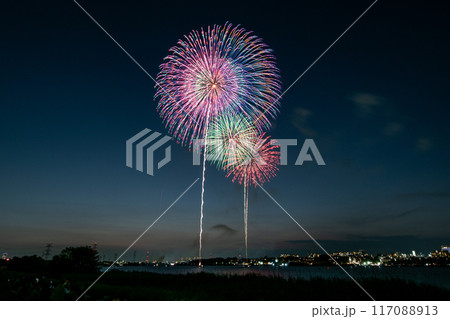 手賀沼花火大会 117088913