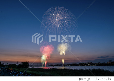 手賀沼花火大会 117088915