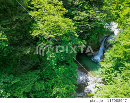 空撮「山梨県」新緑の尾白川渓谷・神蛇滝　　北杜市 117088947