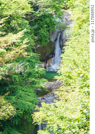 空撮「山梨県」新緑の尾白川渓谷・神蛇滝　　北杜市 117088952