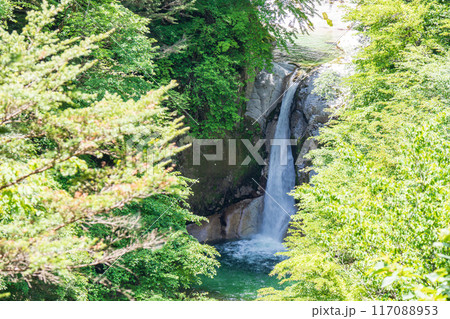 空撮「山梨県」新緑の尾白川渓谷・神蛇滝　　北杜市 117088953