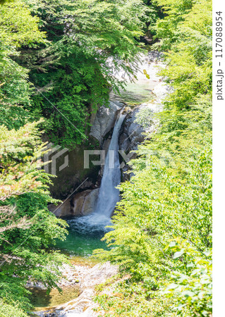 空撮「山梨県」新緑の尾白川渓谷・神蛇滝　　北杜市 117088954