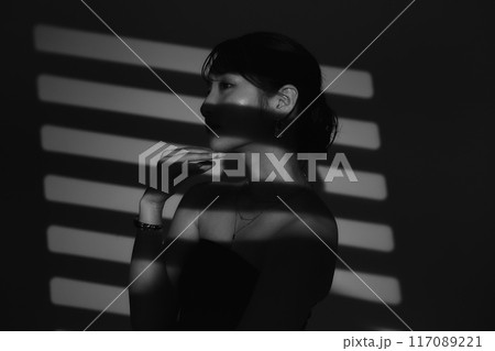 光と影の女性ポートレート 光と影の女性ポートレート 117089221
