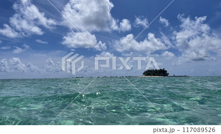 エメラルドグリーンの海と白い砂浜と青い空 117089526