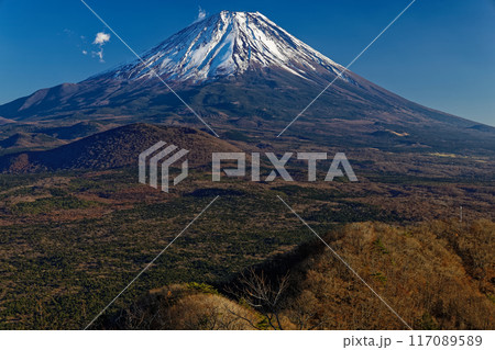 晩秋の精進湖・パノラマ台から見る富士山 晩秋の精進湖・パノラマ台から見る富士山 117089589