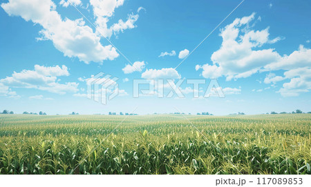 夏のトウモロコシ畑 117089853