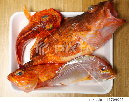 鮮魚セット 117090054