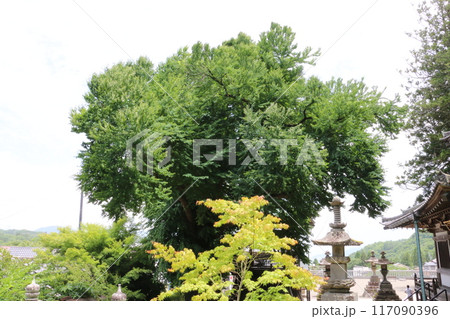 信州別所温泉の名刹北向観音 117090396