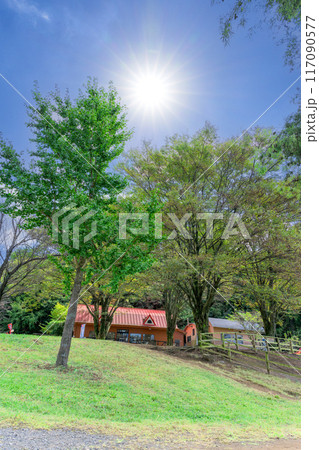 秋晴れを背景に売店の建物と牧場風景・公園風景「山田さんちの牧場 ミルクの里」阿蘇郡西原村 秋晴れを背景に売店の建物と牧場風景・公園風景「山田さんちの牧場 ミルクの里」阿蘇郡西原村 117090577