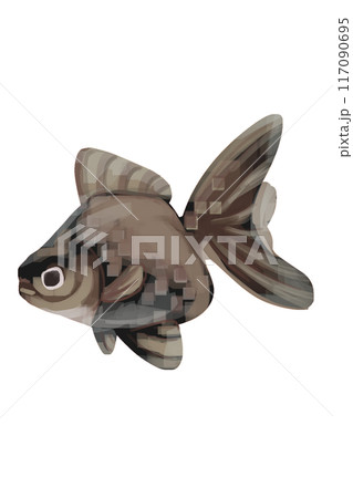 黒い金魚のイラスト 117090695