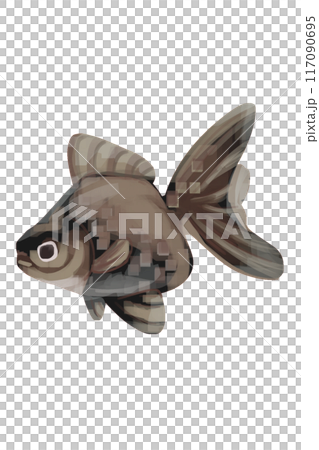 黑色金魚插畫 117090695
