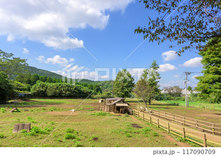 秋晴れを背景に牧場風景　ヤギと羊　広場風景「山田さんちの牧場 ミルクの里」阿蘇郡西原村 117090709