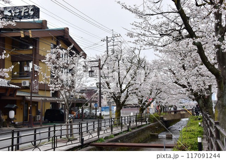 笛吹市 石和温泉さくら温泉通りの桜と宿泊施設 笛吹市 石和温泉さくら温泉通りの桜と宿泊施設 117091244