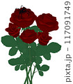 Red roses bouquet with black widow spider on rose petals illustration 117091749