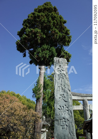 鳥居と木の風景_大宰府天満宮 鳥居と木の風景_大宰府天満宮 117092095