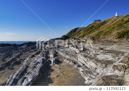 【神奈川県】城ヶ島の風景 117092125
