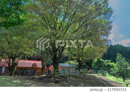秋晴れを背景に売店の建物と牧場風景・公園風景「山田さんちの牧場 ミルクの里」阿蘇郡西原村 秋晴れを背景に売店の建物と牧場風景・公園風景「山田さんちの牧場 ミルクの里」阿蘇郡西原村 117092531