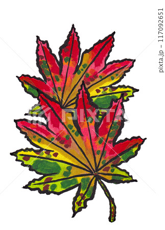 手描きの水彩画(絵手紙)「紅葉したハウチワカエデ(羽団扇楓)の葉」二枚 117092651