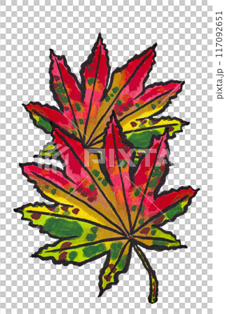 手描きの水彩画(絵手紙)「紅葉したハウチワカエデ(羽団扇楓)の葉」二枚 117092651